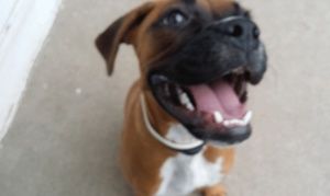 Meet your Posher, Shaunda